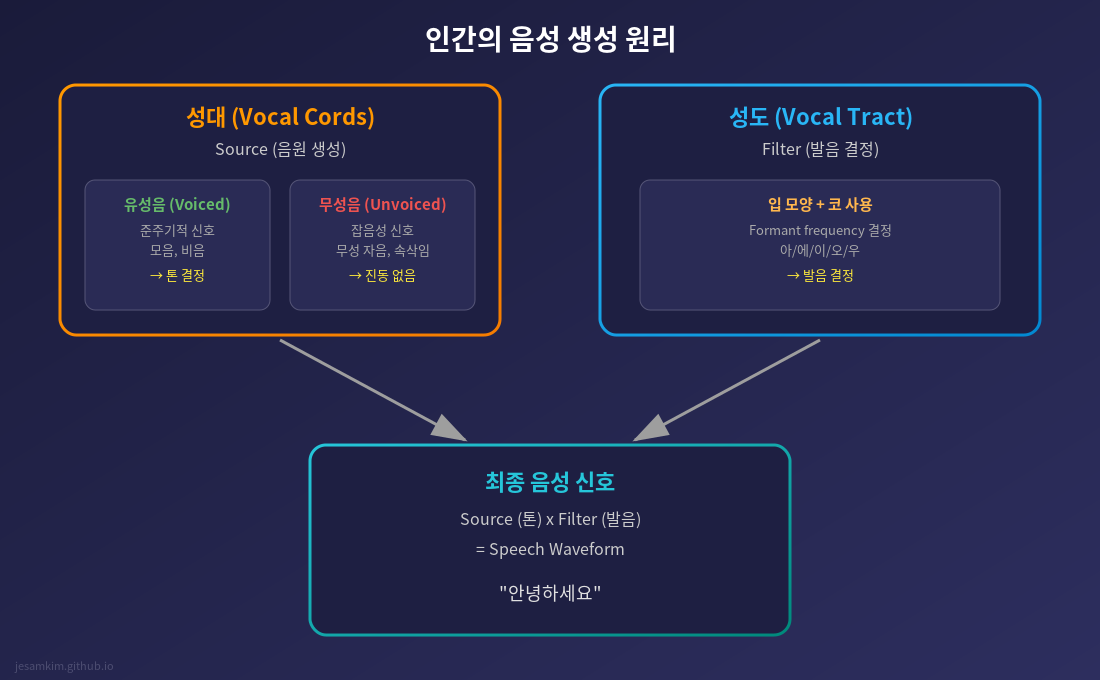 인간의 음성 생성 원리